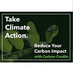 CSA Verified Carbon Credit